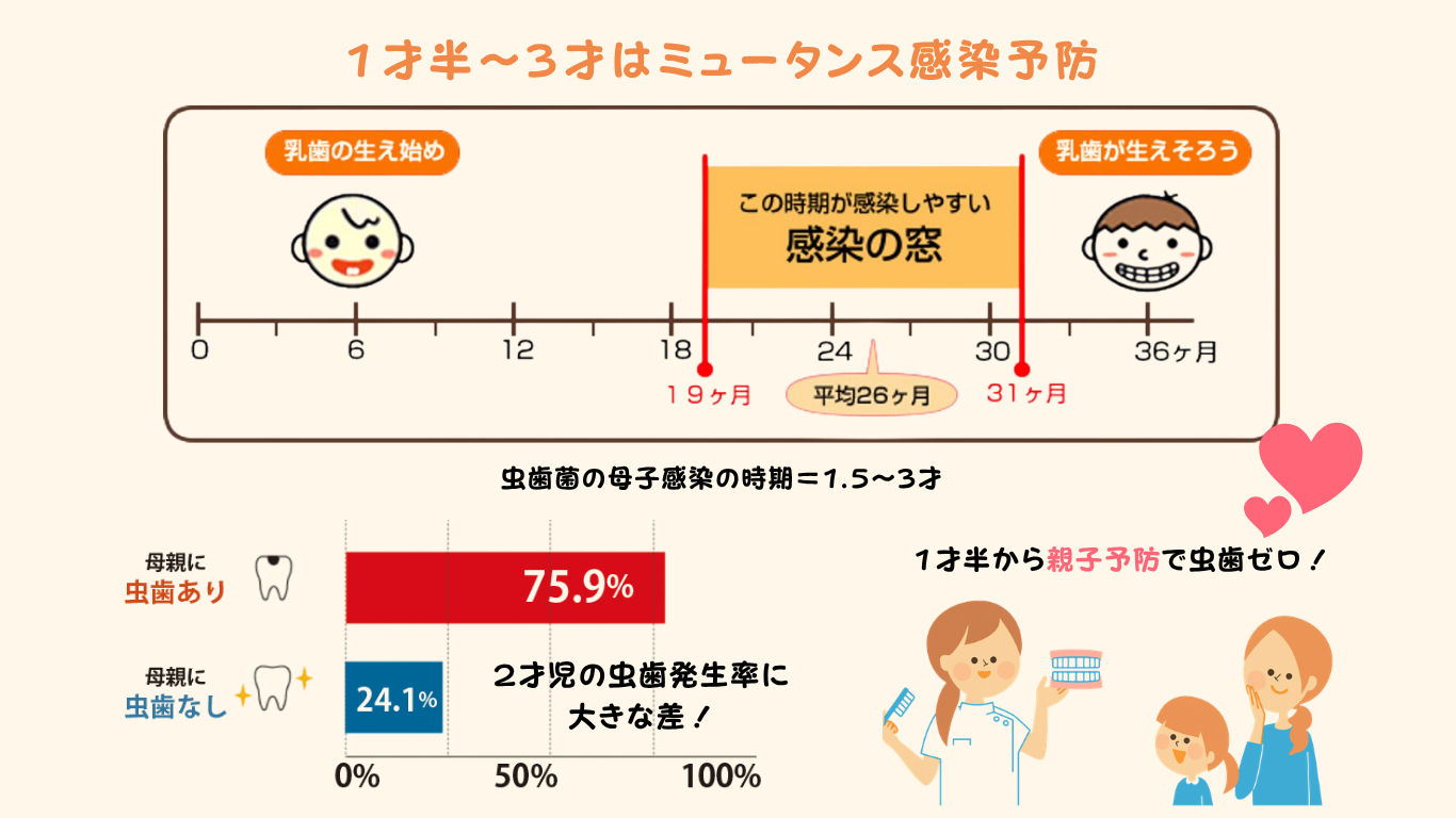 1才半〜3才はミュータンス感染予防